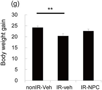 Grafting Neural Stem and Progenitor Cells Into the Hippocampus of Juvenile, Irradiated Mice Normalizes Behavior Deficits